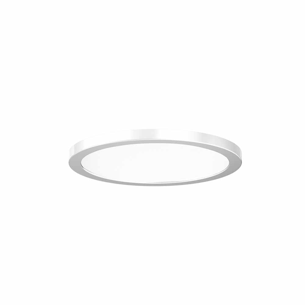 Slim-Disc 7″
