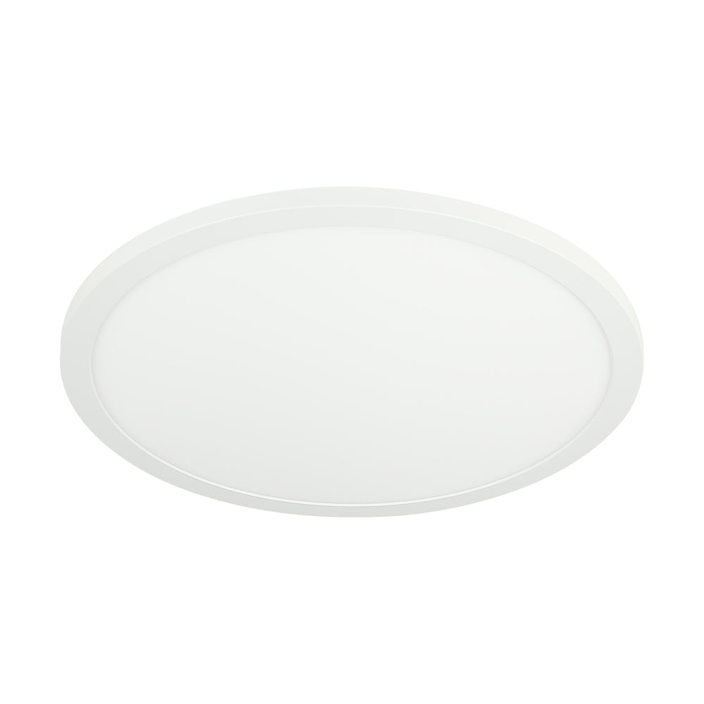 Slim-Disc 12″