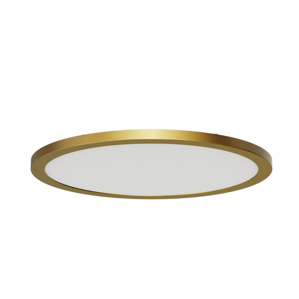 Slim-Disc 12″