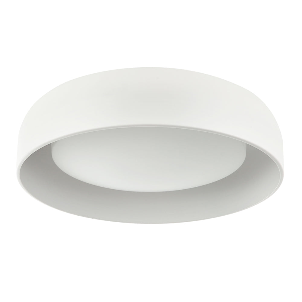 Callaghan 20″