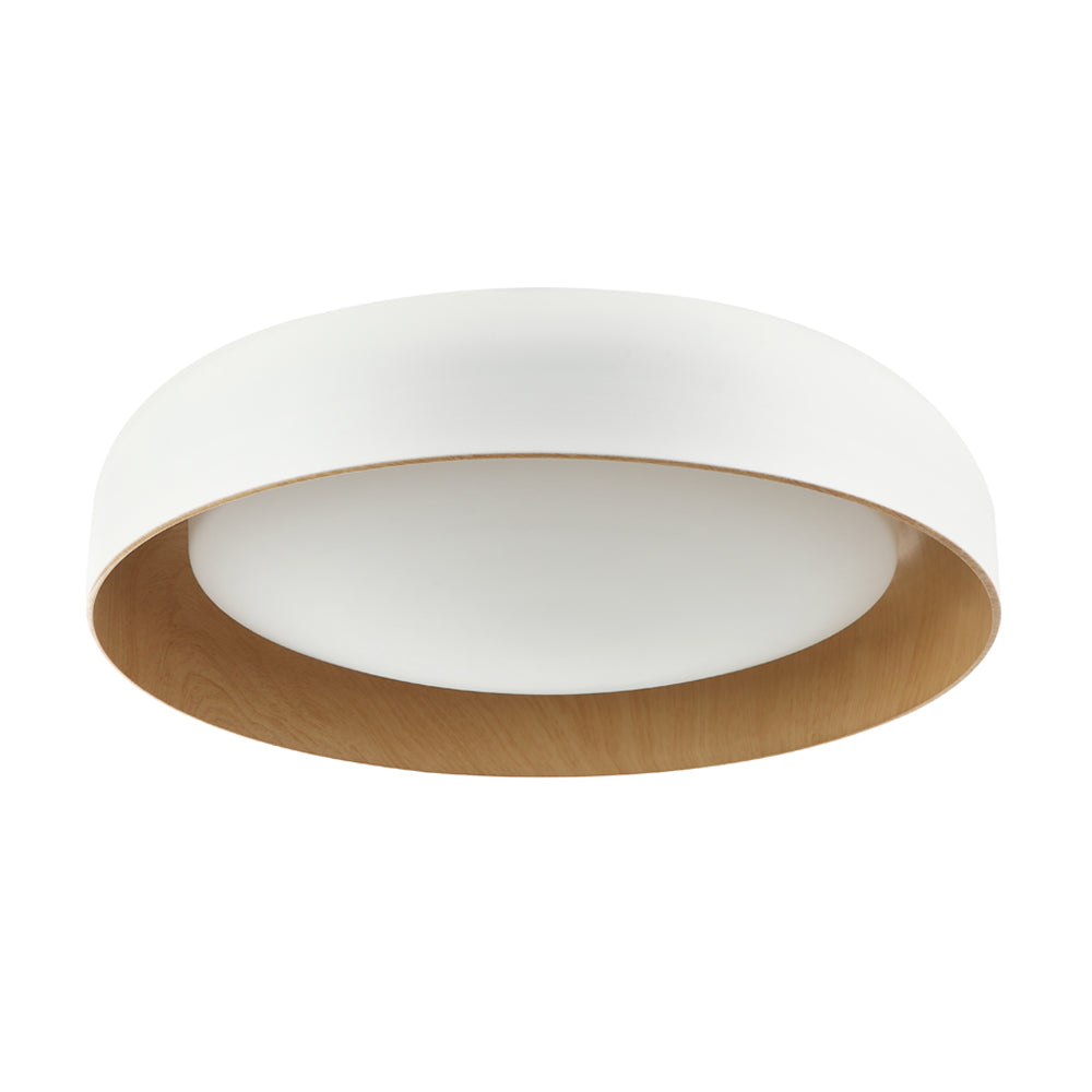 Callaghan 20″