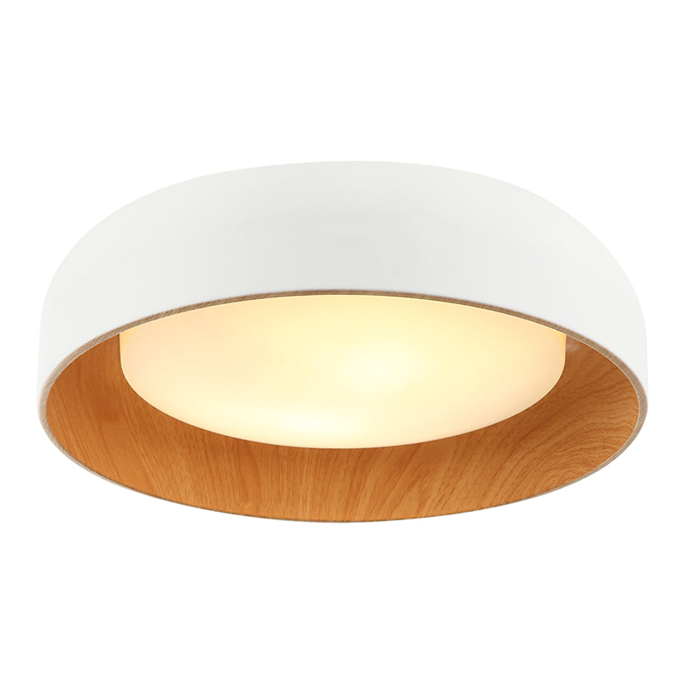Callaghan 20″