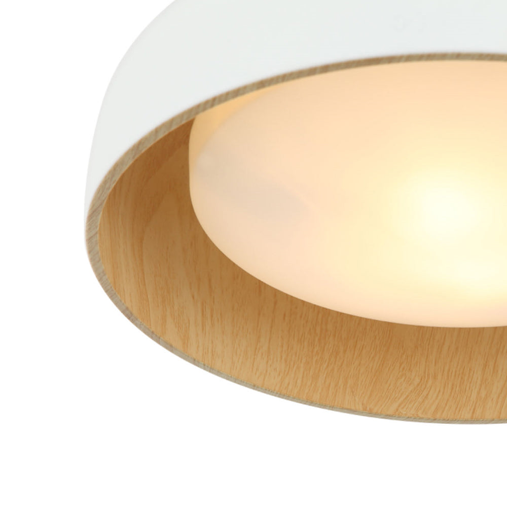 Callaghan 20″