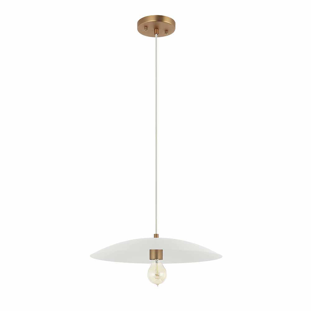 Dish - 1 Light