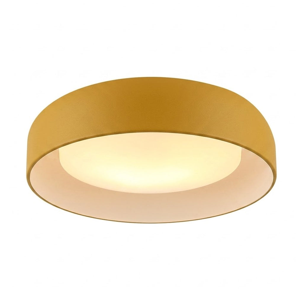 Callaghan 20″