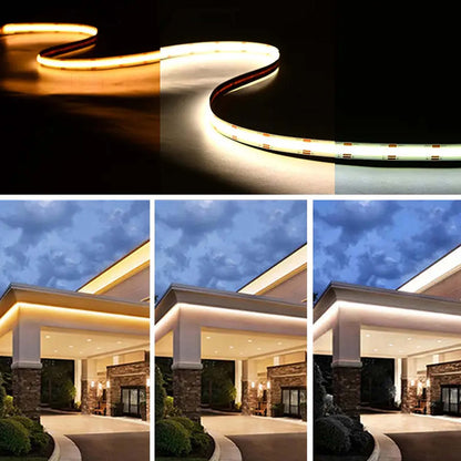 Tunable White 10mm COB - LED