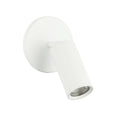 Monty Spot Light