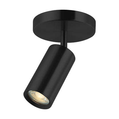 Monty Spot Light