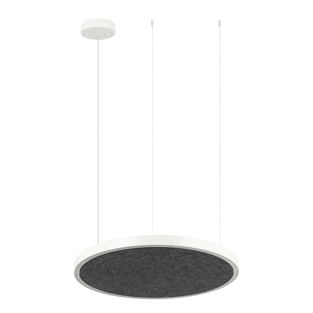 AMANDA disc acoustic