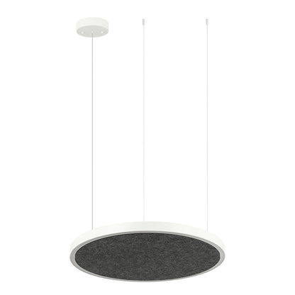 AMANDA disc acoustic