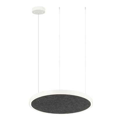 AMANDA disc acoustic