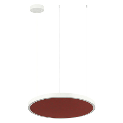 AMANDA disc acoustic