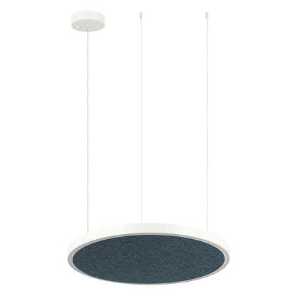 AMANDA disc acoustic