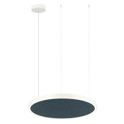 AMANDA disc acoustic