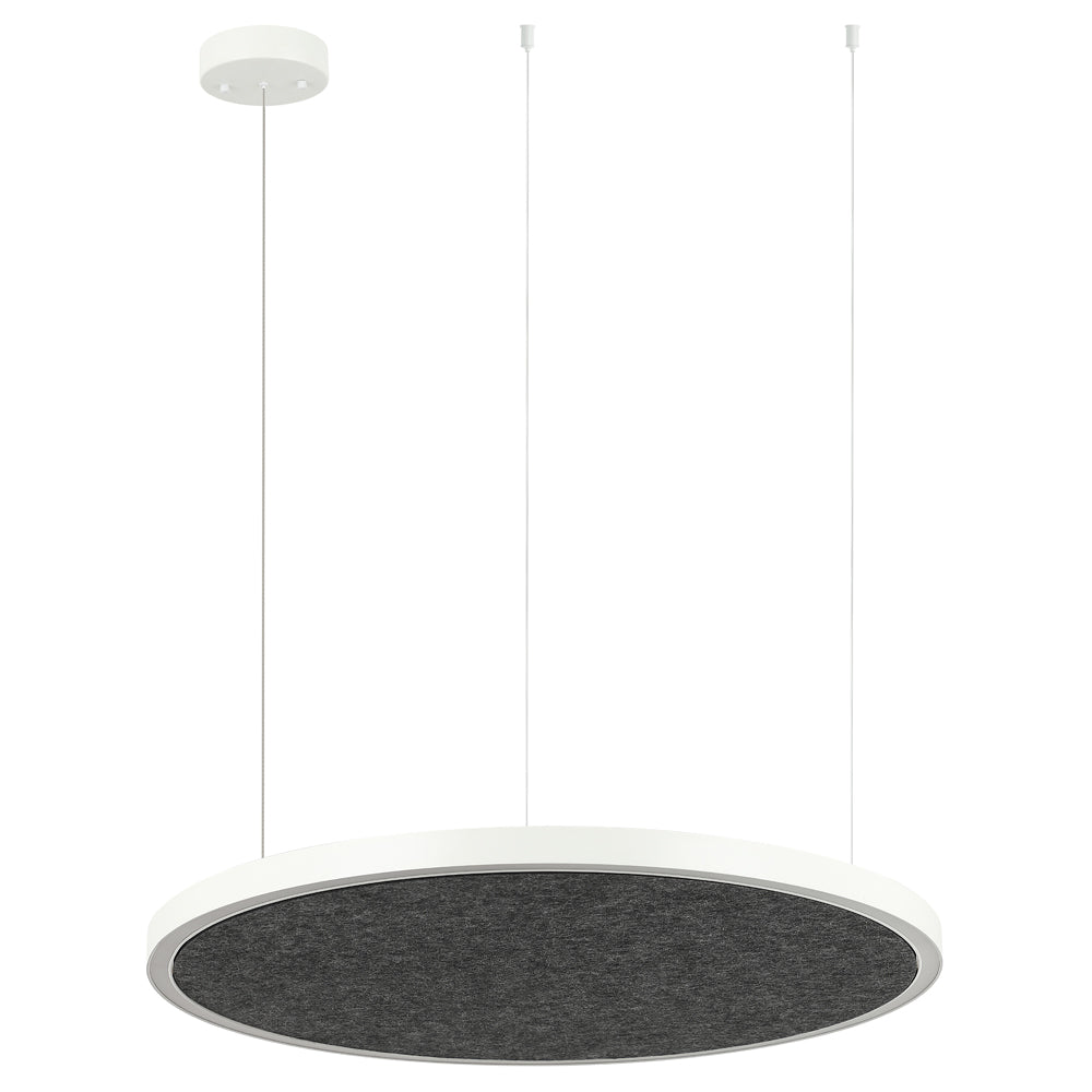 AMANDA disc acoustic