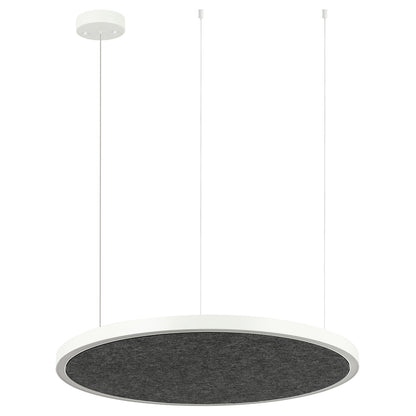 AMANDA disc acoustic