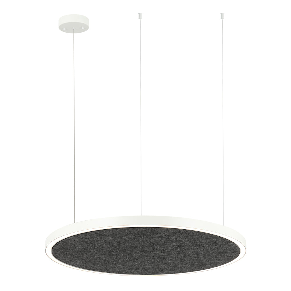 AMANDA disc acoustic