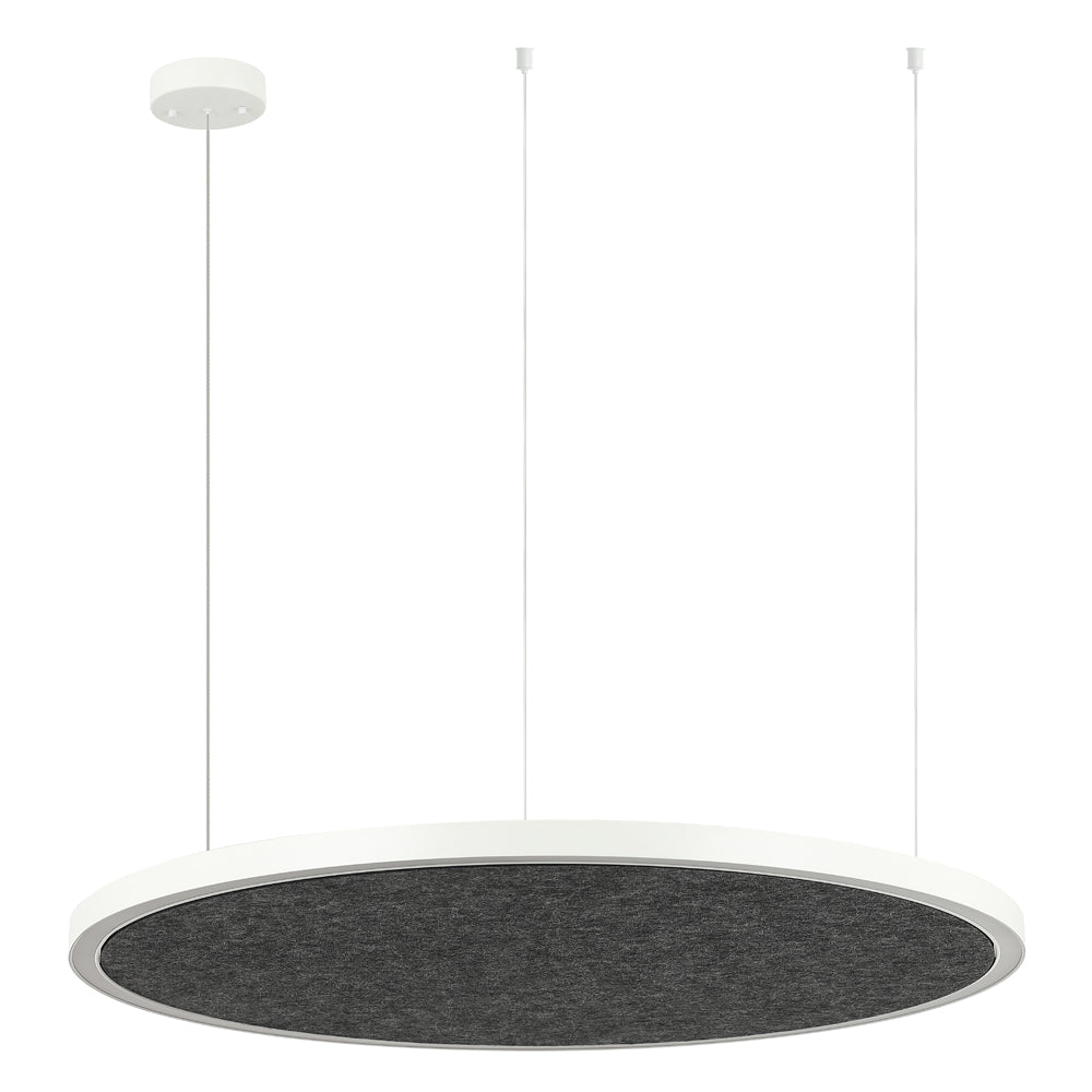 AMANDA disc acoustic