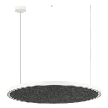 AMANDA disc acoustic