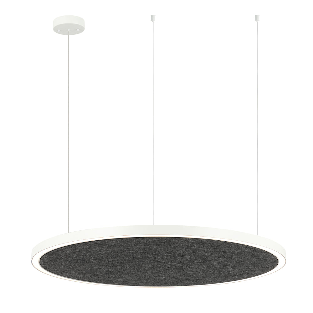 AMANDA disc acoustic