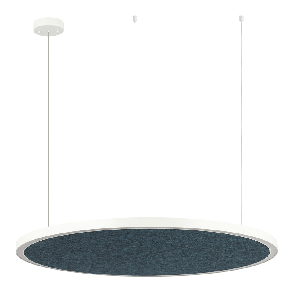 AMANDA disc acoustic